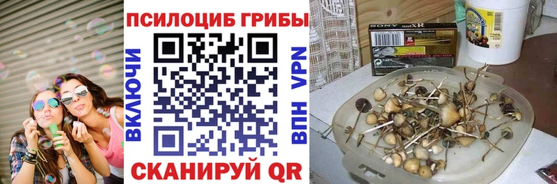 Псилоцибиновые грибы мухоморы  сколько стоит  Отрадная 
