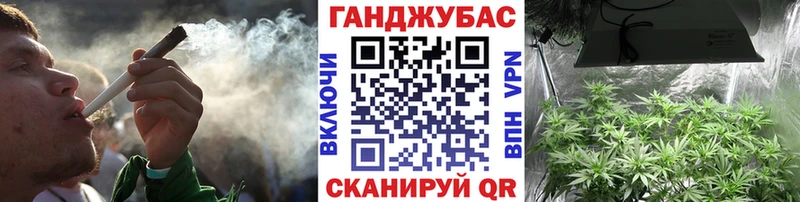 где купить наркоту  Отрадная  Марихуана тримм 